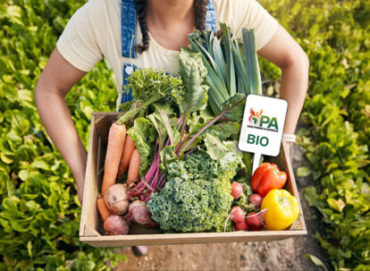 Sécurité alimentaire