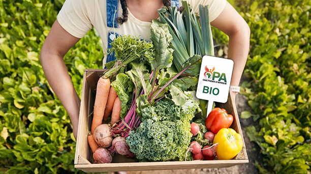 Sécurité alimentaire